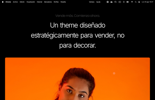 Banner de una demo de Astra Theme